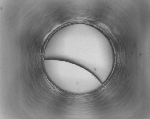 X0000059231260200510281856