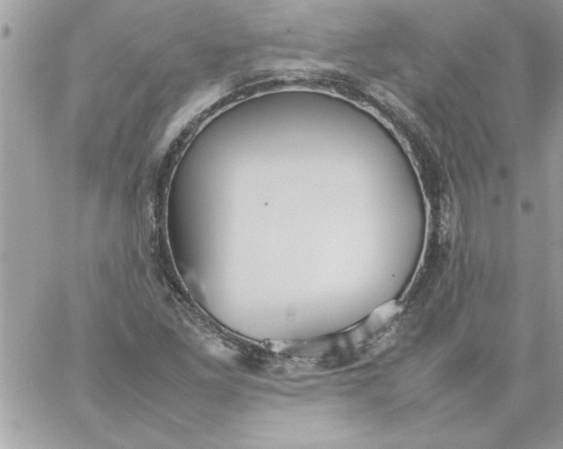 X0000059231261200510281856