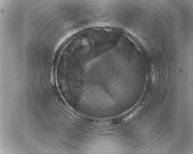 X0000059231262200510281856