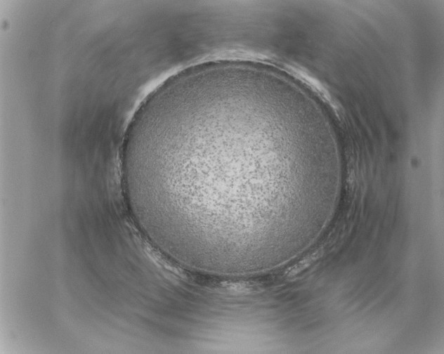 X0000059231264200510281856