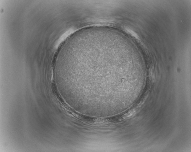 X0000059231267200510281856