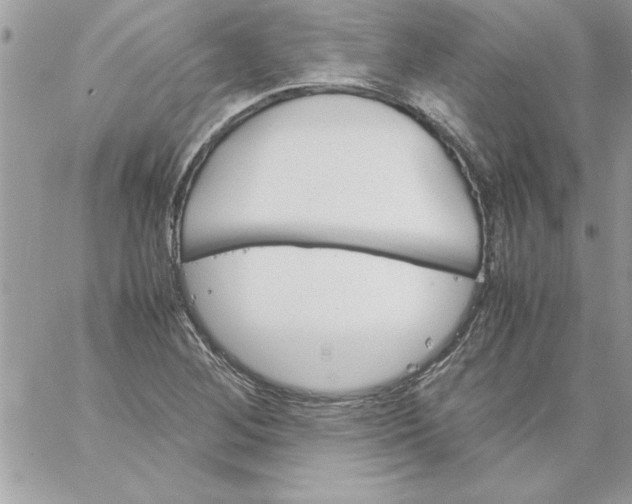 X0000059231268200510281856