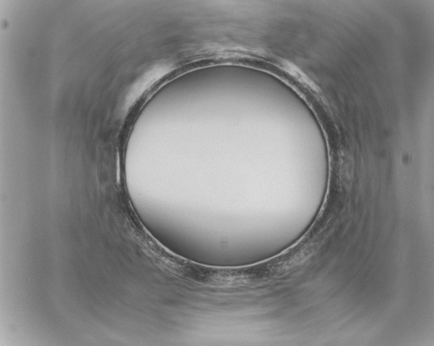 X0000059231269200510281856