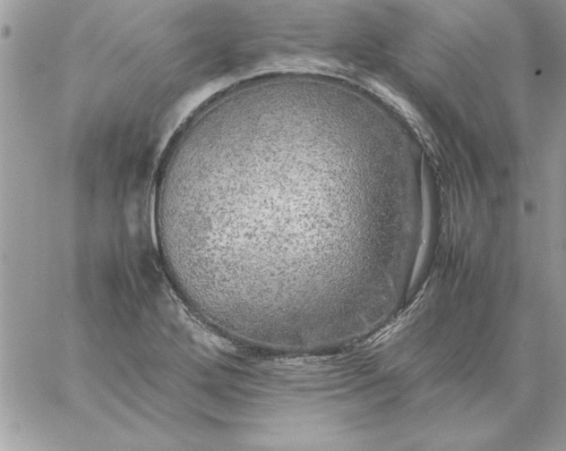 X0000059231272200510281856