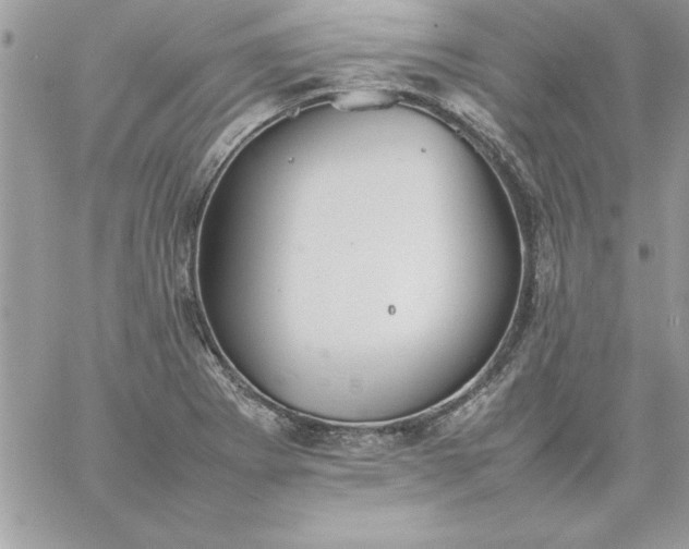 X0000059231273200510281856