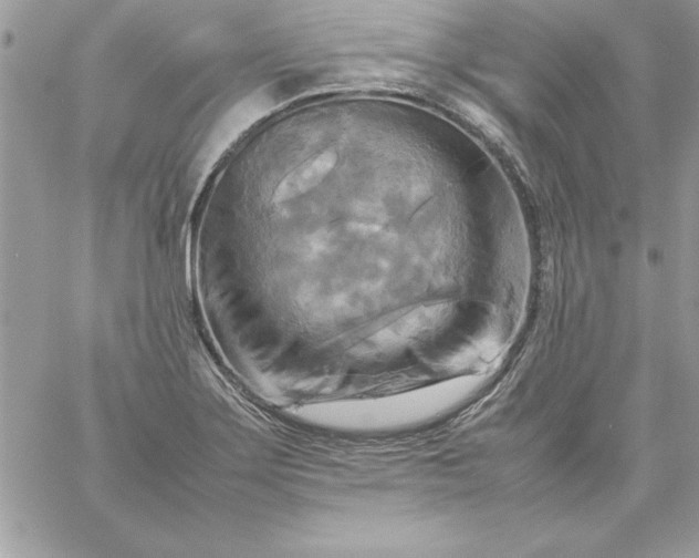 X0000059231275200510281856