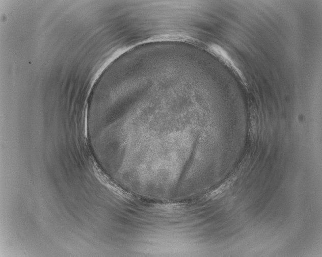 X0000059231276200510281856