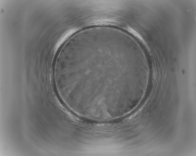 X0000059231277200510281856