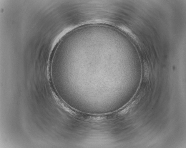 X0000059231278200510281856