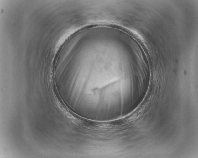 X0000059231279200510281856