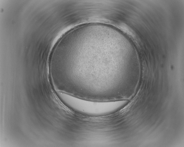 X0000059231280200510281856