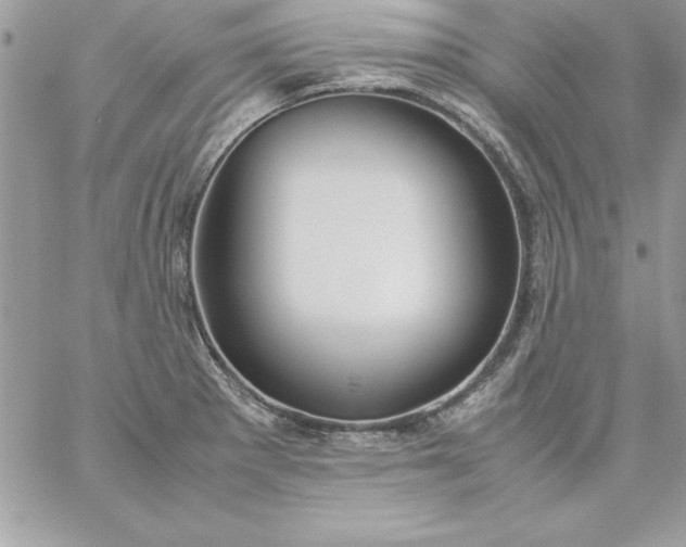 X0000059231281200510281856