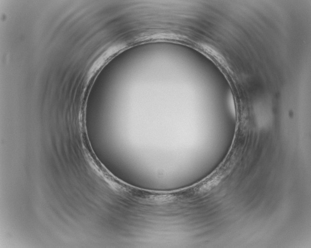 X0000059231282200510281856