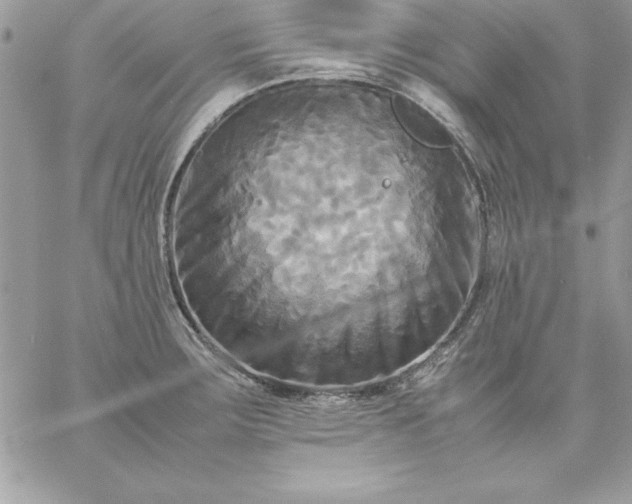 X0000059231283200510281856