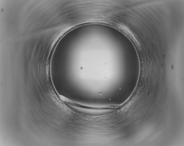 X0000059231284200510281856