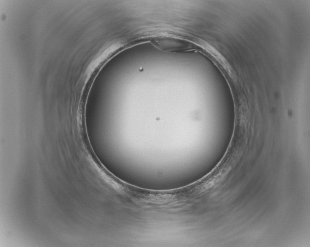 X0000059231285200510281856