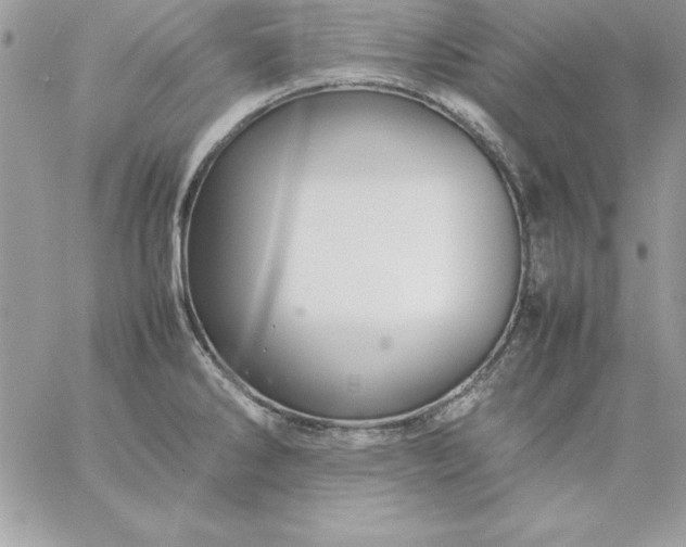 X0000059231286200510281856