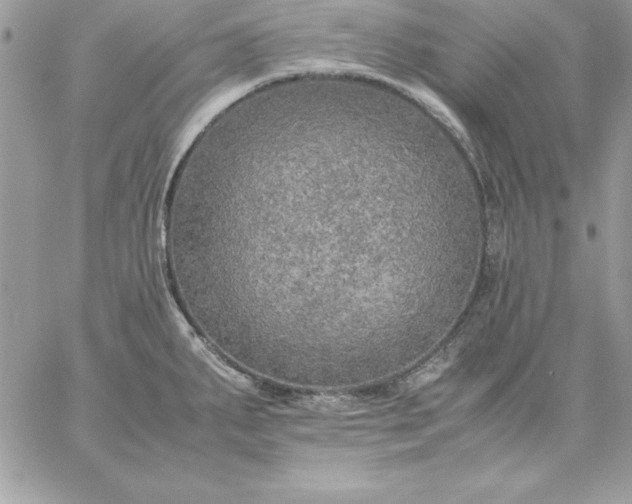 X0000059231287200510281856