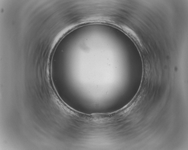 X0000059231288200510281856