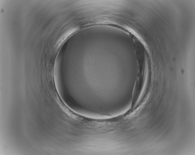 X0000059231289200510281856