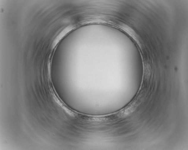 X0000059231290200510281856