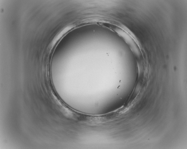 X0000059231293200510281856