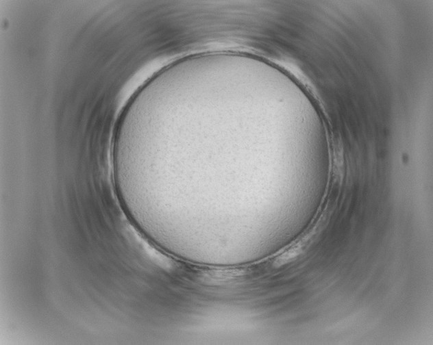 X0000059231294200510281856