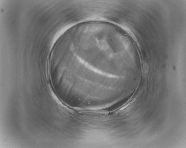 X0000059231295200510281856