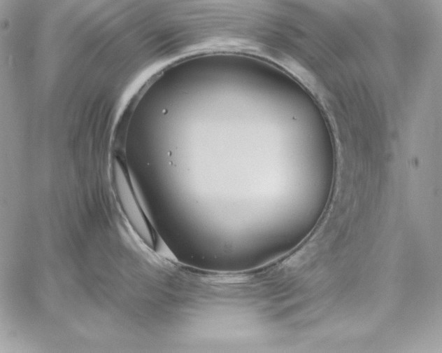 X0000059231296200510281856