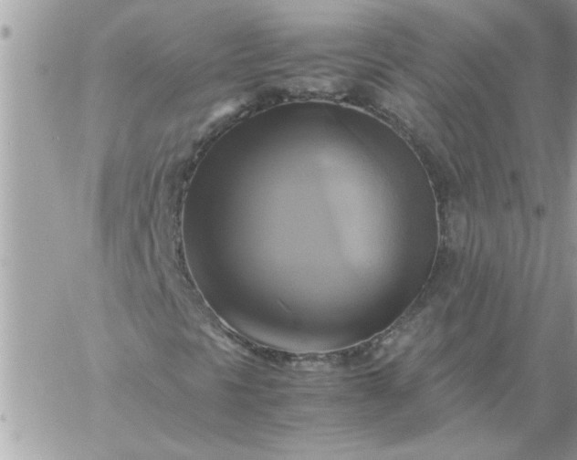 X0000059231297200510281855