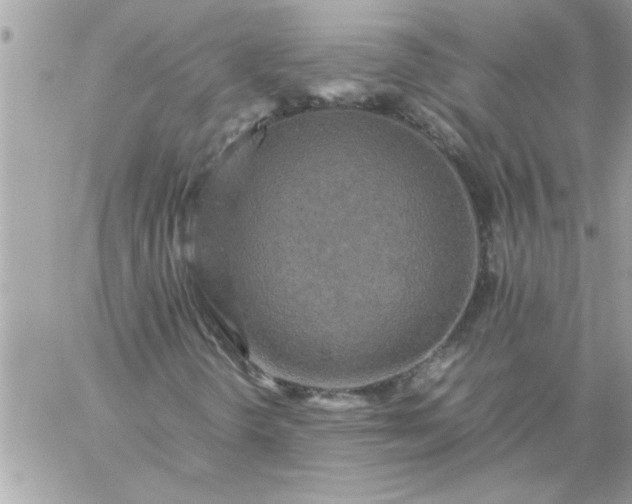 X0000059231298200510281855