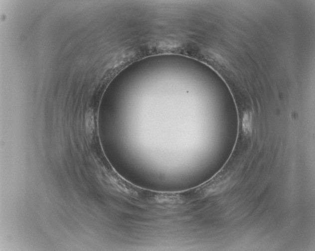 X0000059231299200510281855