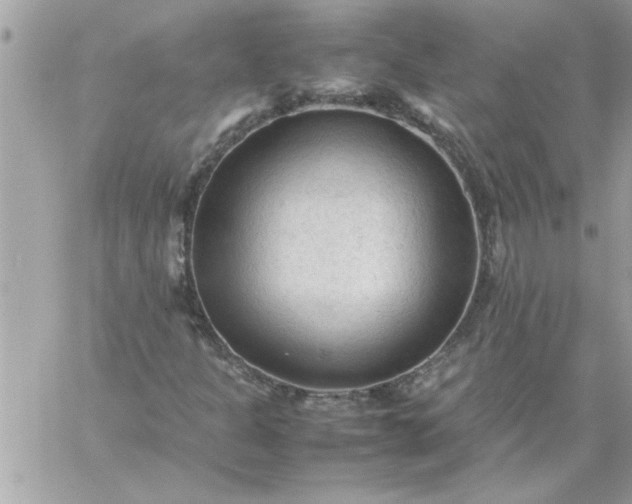 X0000059231301200510281855