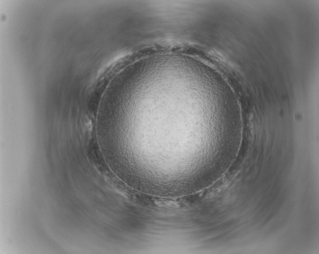 X0000059231302200510281855