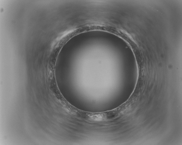 X0000059231303200510281855