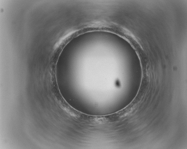 X0000059231304200510281855