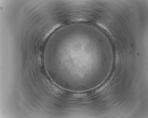 X0000059231305200510281855