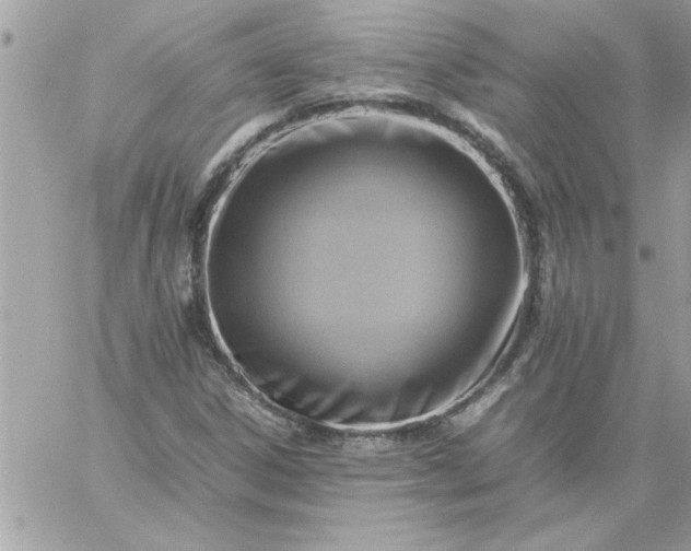 X0000059231306200510281855