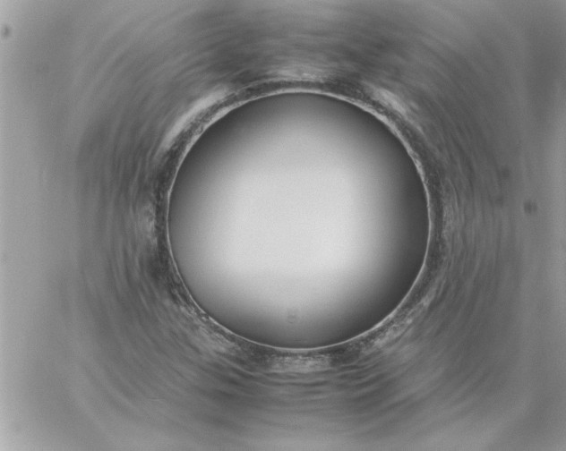 X0000059231307200510281855