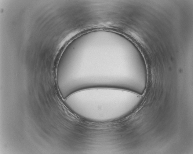 X0000059231308200510281855