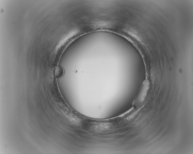 X0000059231309200510281855