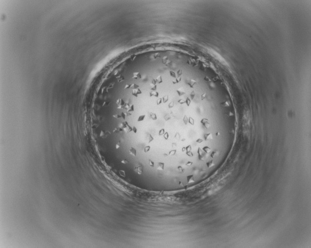 X0000059231310200510281855