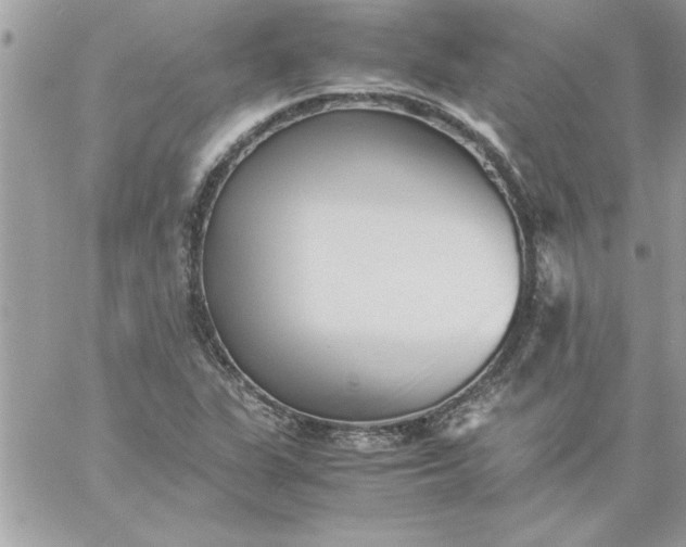 X0000059231311200510281855