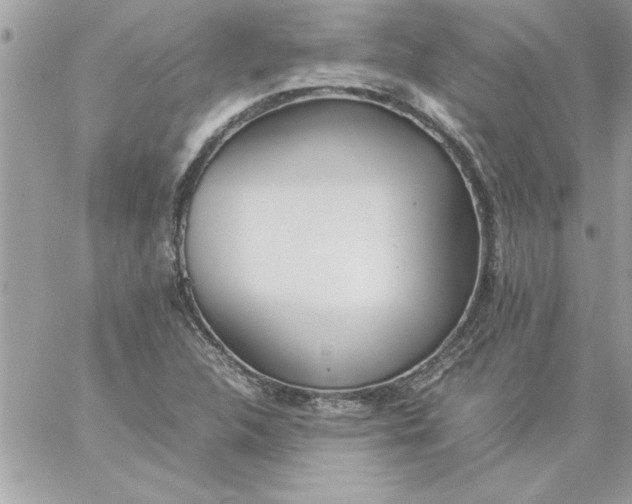 X0000059231312200510281855