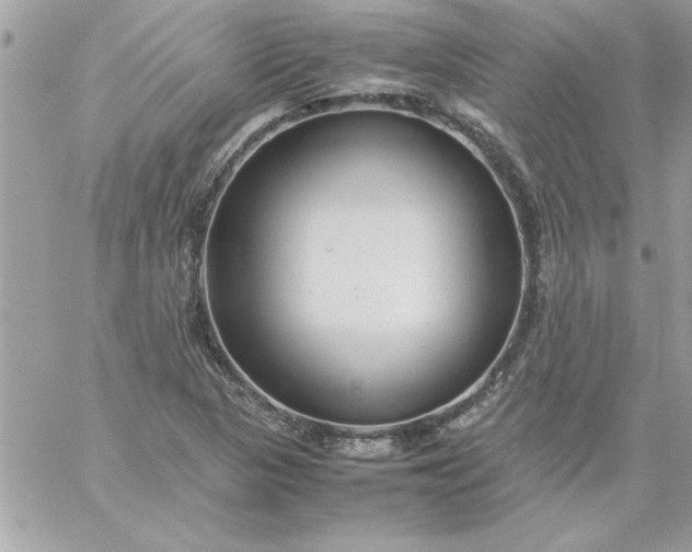 X0000059231313200510281855