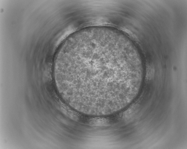 X0000059231314200510281855