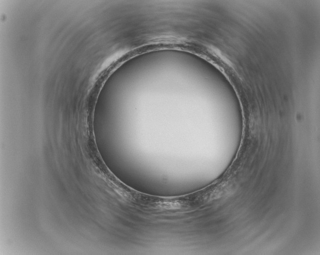 X0000059231315200510281855