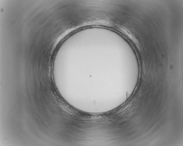 X0000059231316200510281855