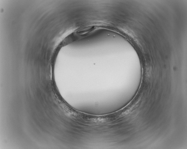 X0000059231317200510281855