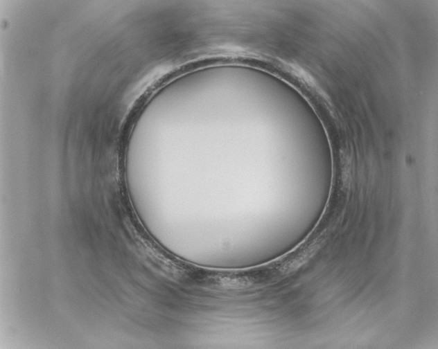 X0000059231318200510281855